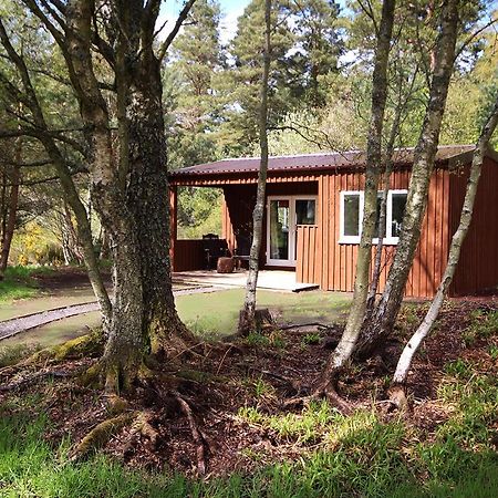 Auldearn The Cabin At Easter Arr מראה חיצוני תמונה