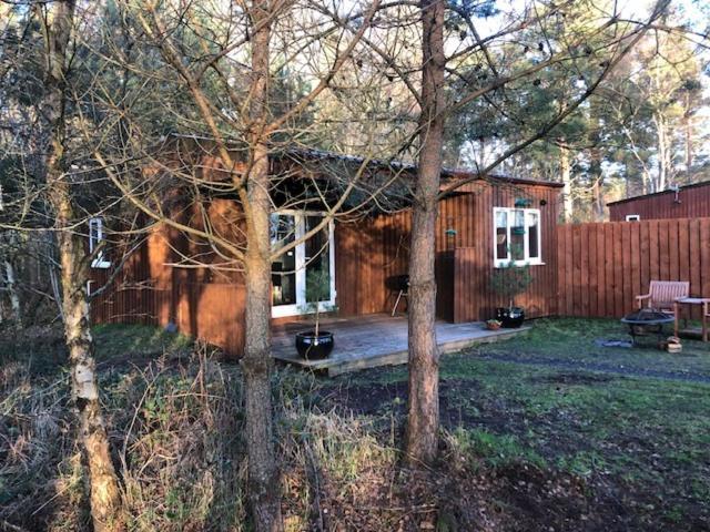 Auldearn The Cabin At Easter Arr מראה חיצוני תמונה